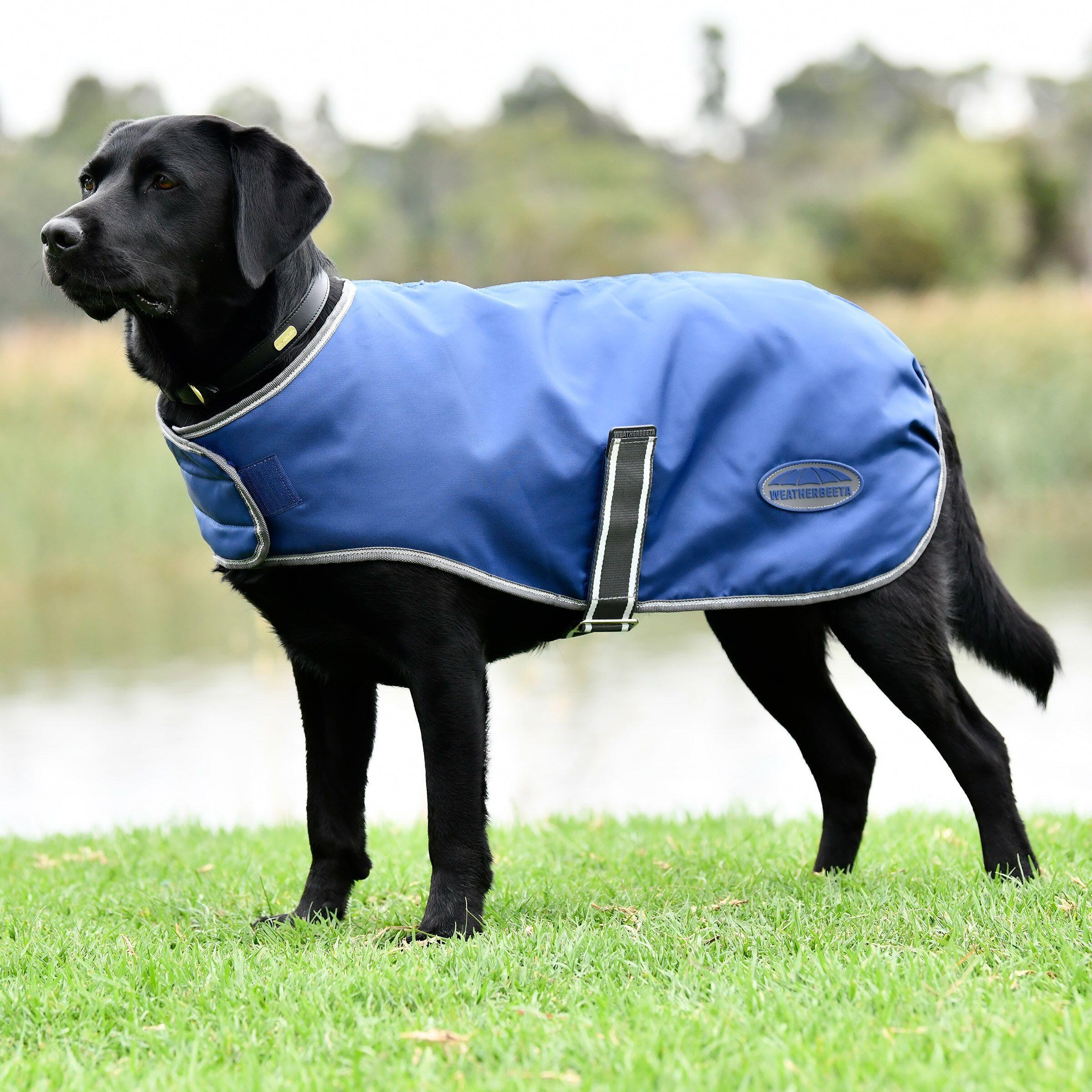 WEATHERBEETA picture