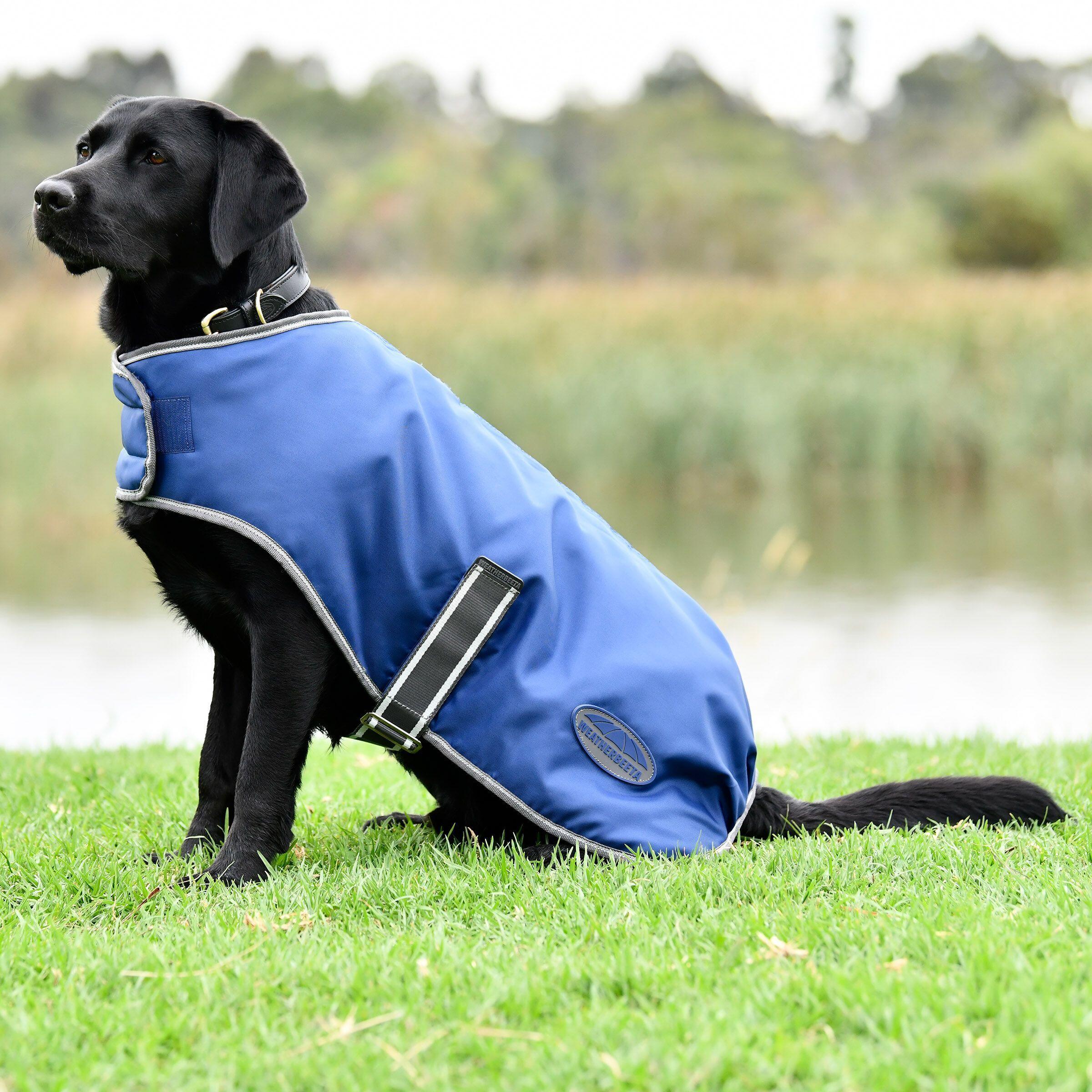 Dog coat Weatherbeeta ComFiTec Windbreaker Free 2/2