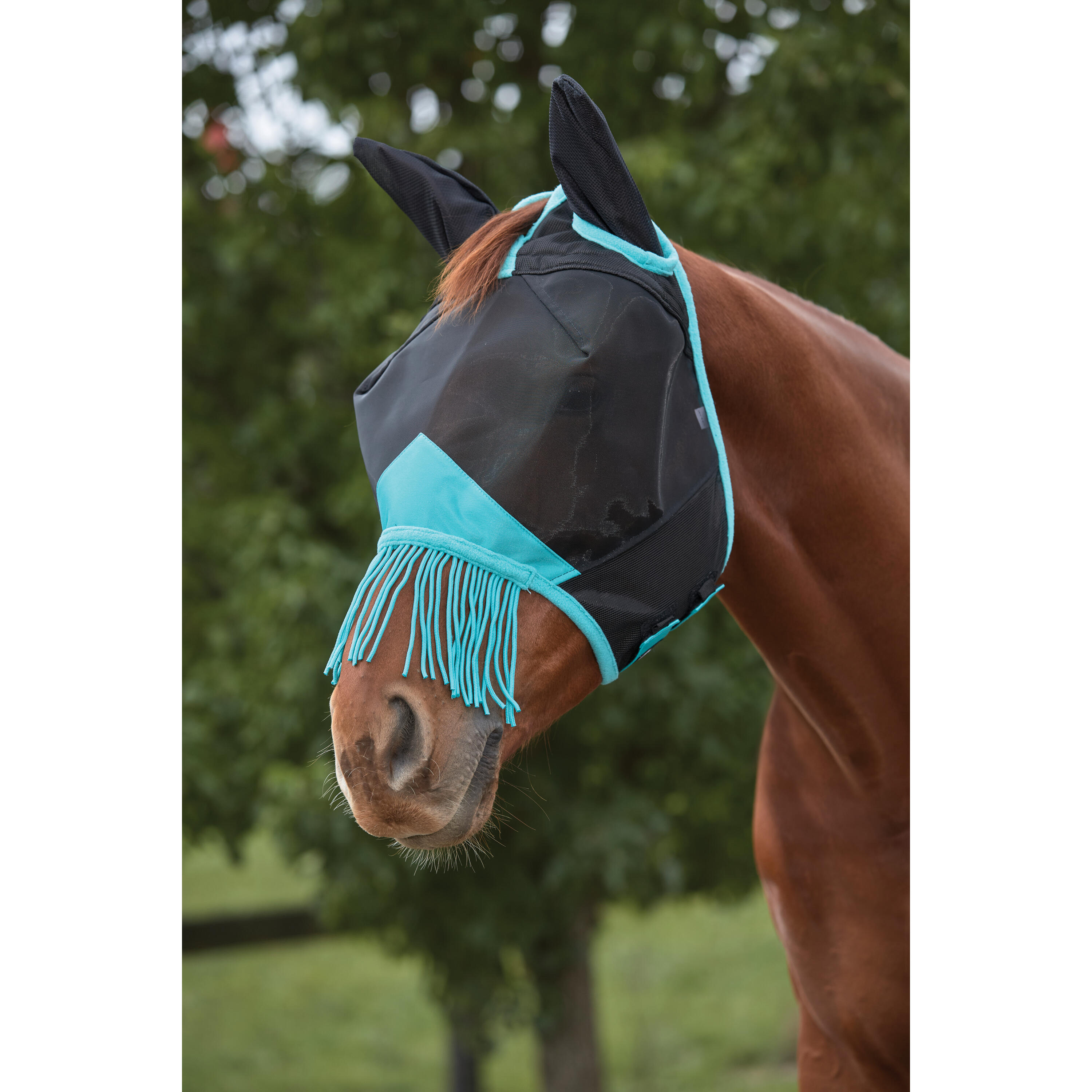 Maschera antimosche per cavalli in tela con copertura per orecchie e naso con fr 2/2