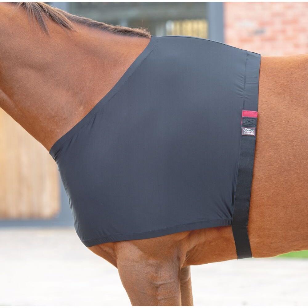 Elasticizzato Gilet Per Cavalli Shires Nero 2/2
