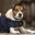 Hundemantel Kentucky Original 160g