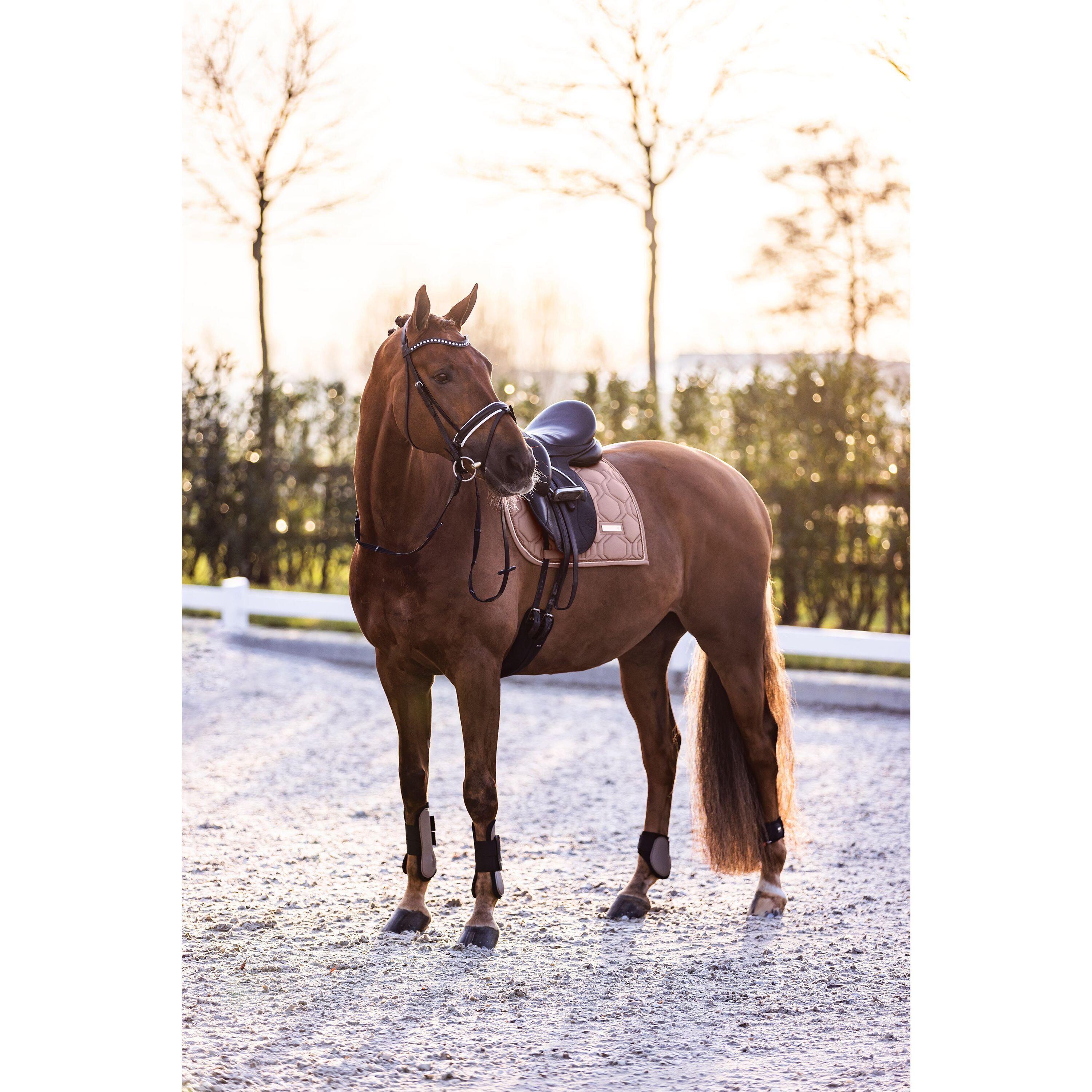Protège-boulets pour cheval Imperial Riding Lovely 2/3