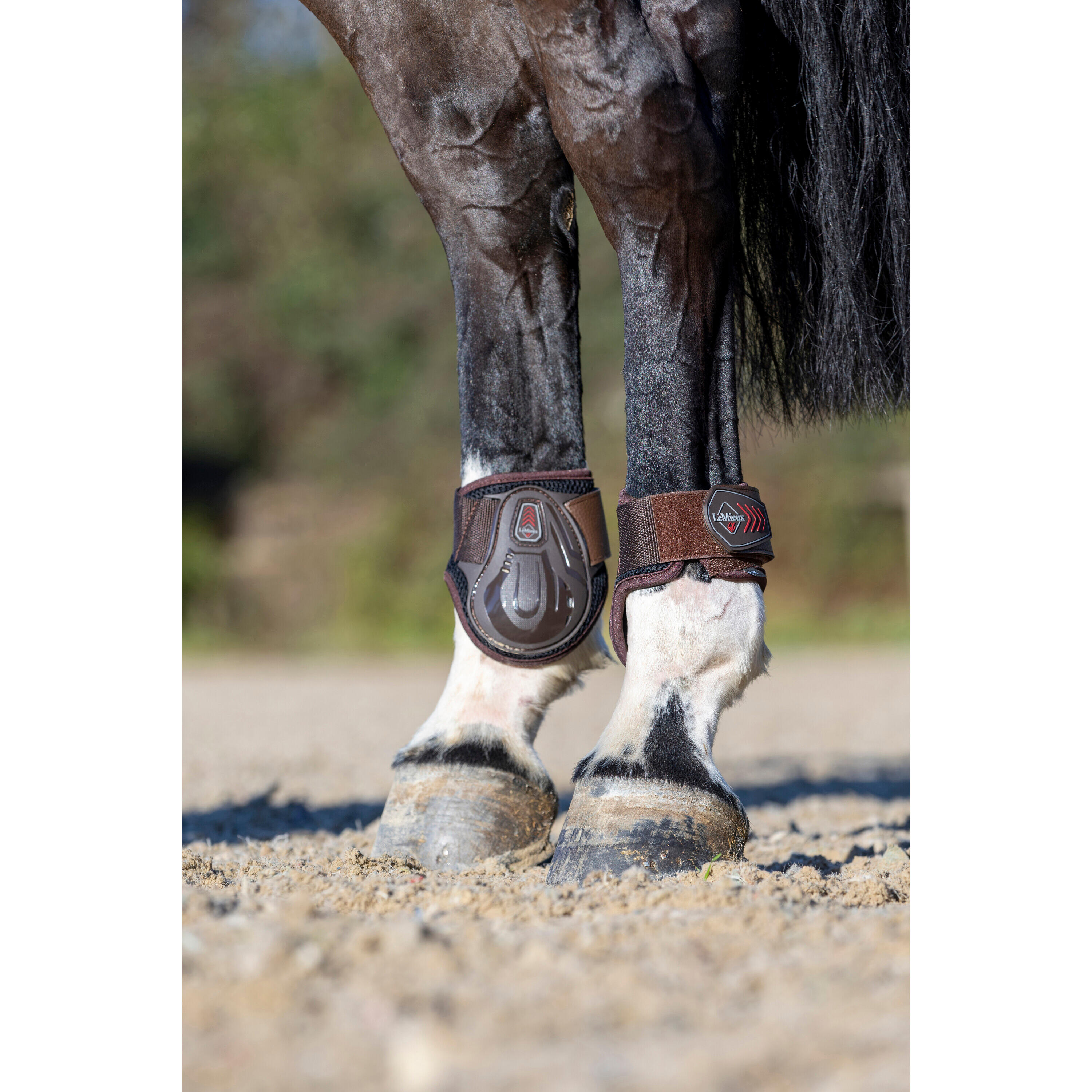 Paardenvoeten LeMieux Derby ProJump 2/5