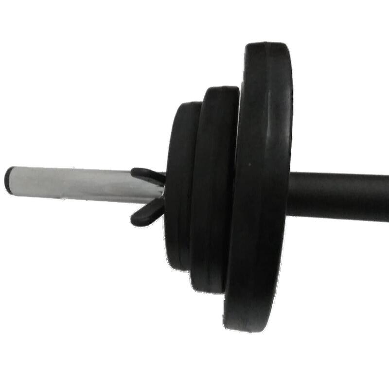 Haltera bara +discuri 19,5 kg