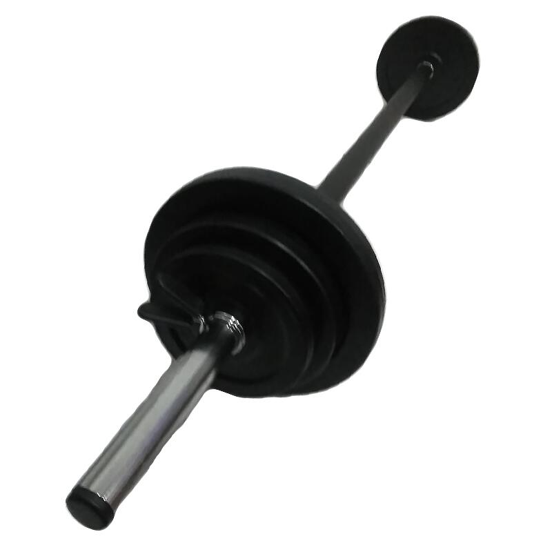 Haltera bara +discuri 19,5 kg
