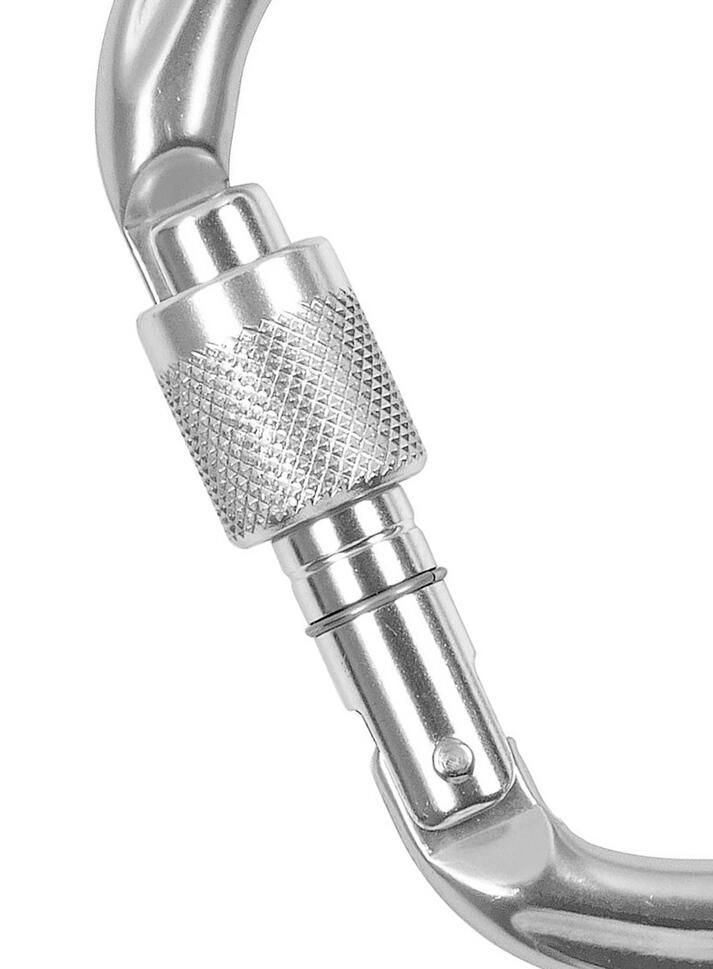 Karabinek Wspinaczkowy Climbing Technology Pillar CF SG (Screw Gate) - silver