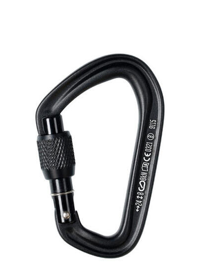 Mousqueton Black Diamond HotForge Screwgate aluminium forgé noir compact légère