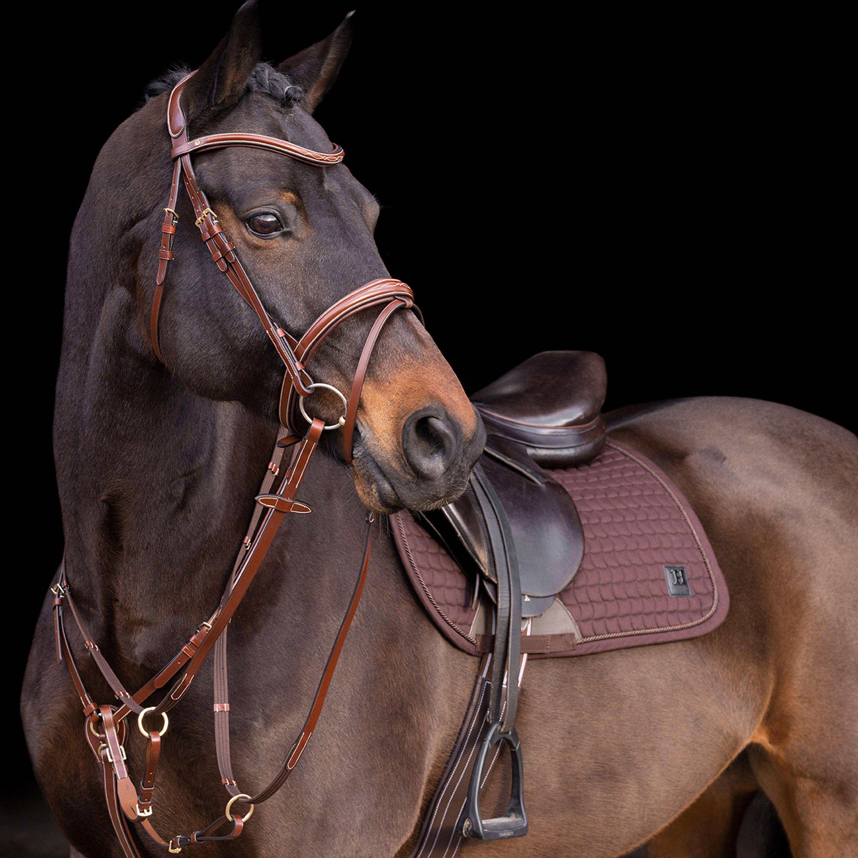 HV POLO Martingala per cavalli HV Polo Legacy