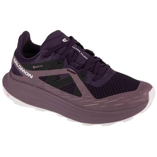 Buty do biegania damskie Salomon Ultra Flow Gtx W