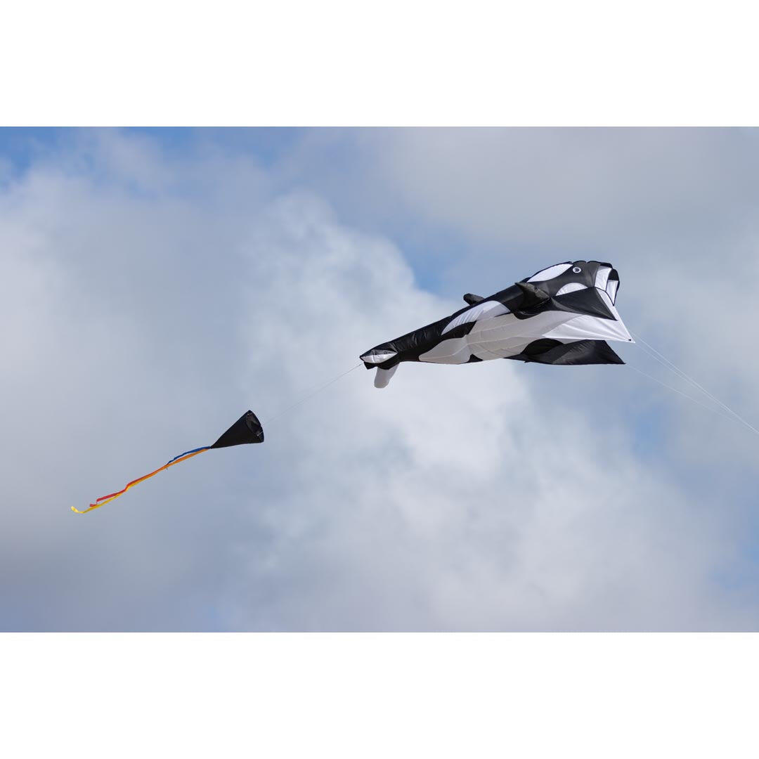 Kinderdrachen HQ Parafoil Kite Orca 106719 Schwarz 60 x 200 cm 7/7