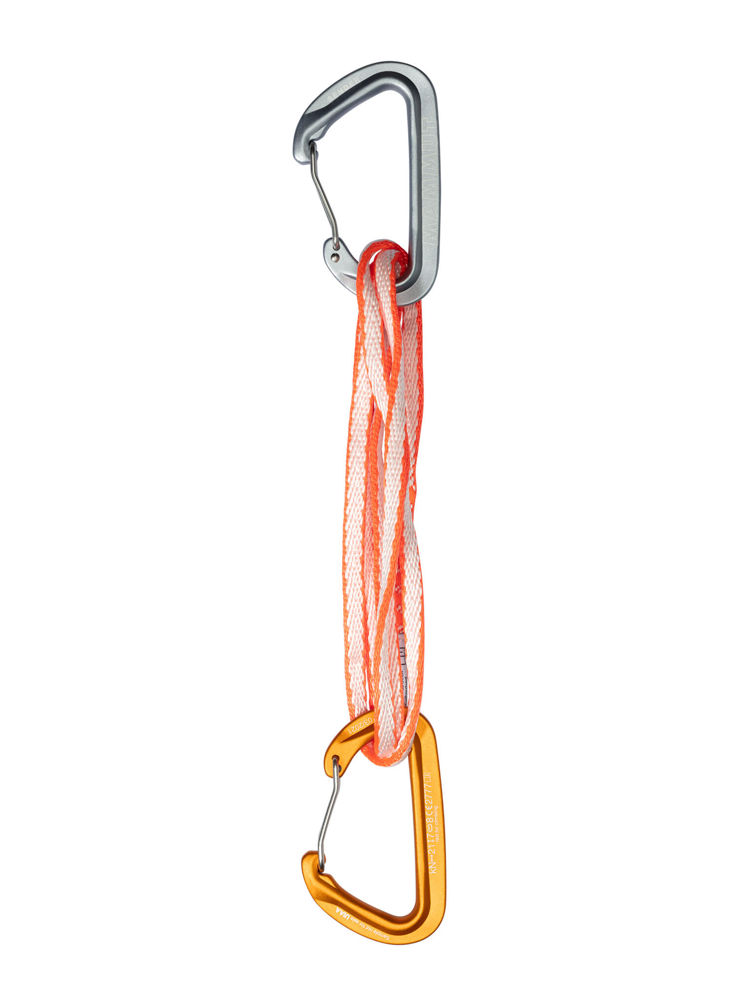 MAMMUT picture