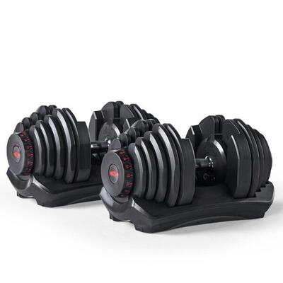 BowFlex 1090i verstellbare Hanteln (Paar)