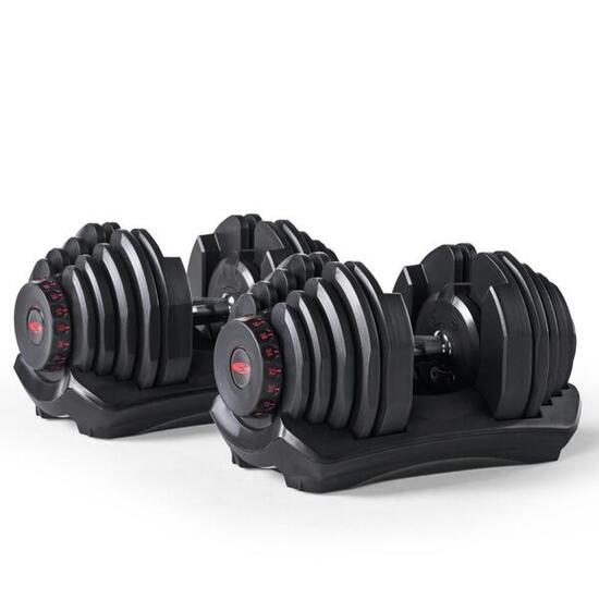 BowFlex 1090i verstellbare Hanteln (Paar)