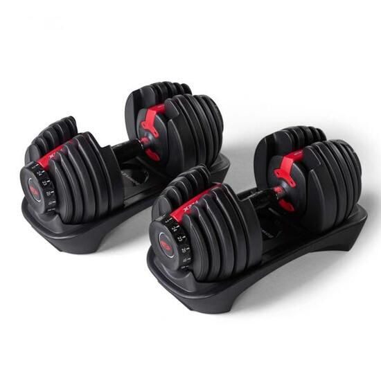 BowFlex 552i verstellbare Hanteln einstellbar von 2 bis 24 kg in 15
