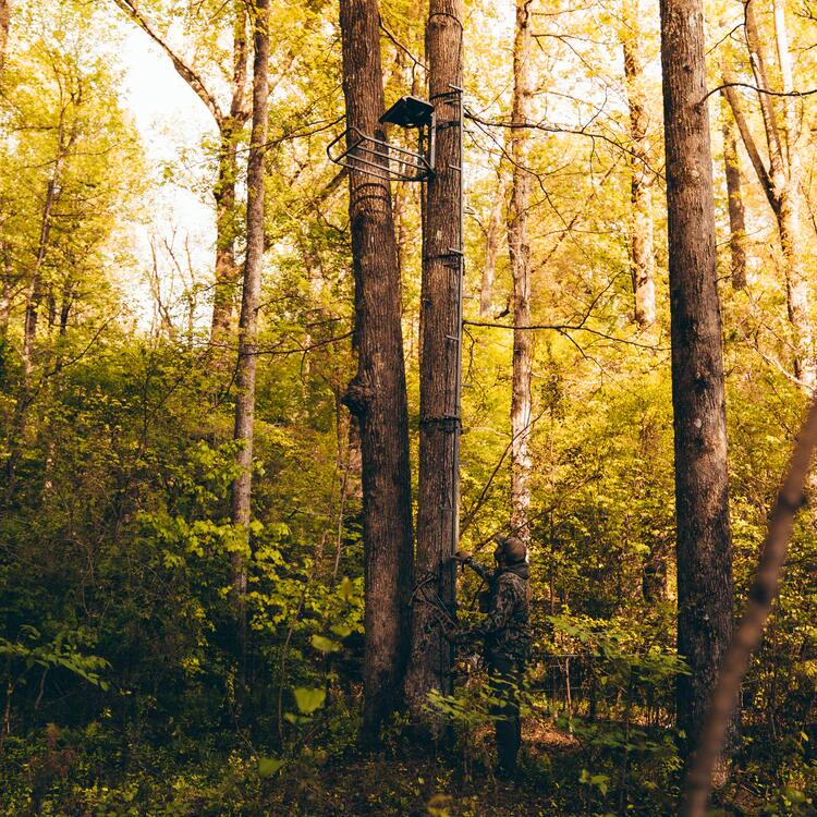 TREESTAND PUESTO CAZA BIG  FOOT™ ROGUE XL™ HANG-ON 6/6