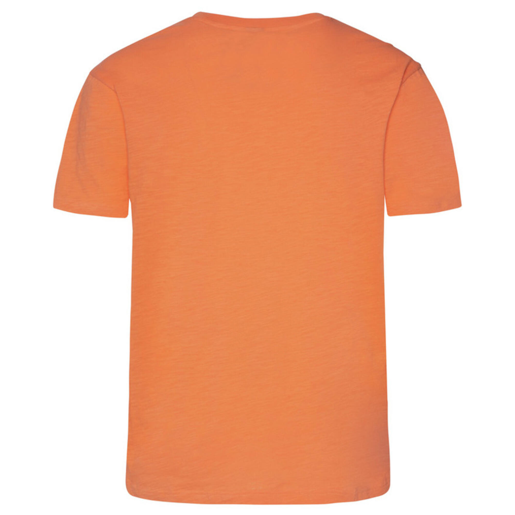 Koszulka męska Protest PRTBRADIE t-shirt 6/7