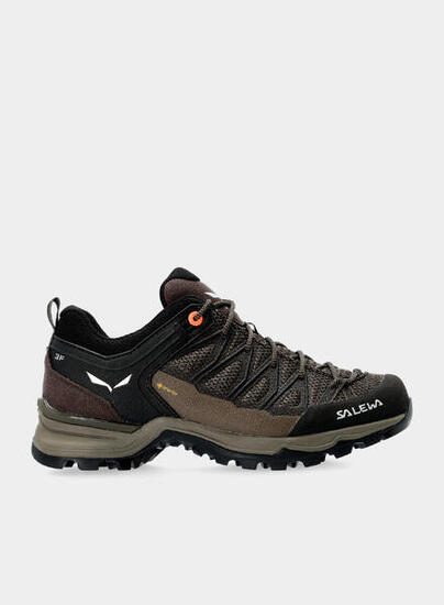 Buty damskie Salewa Mountain Trainer Lite GTX