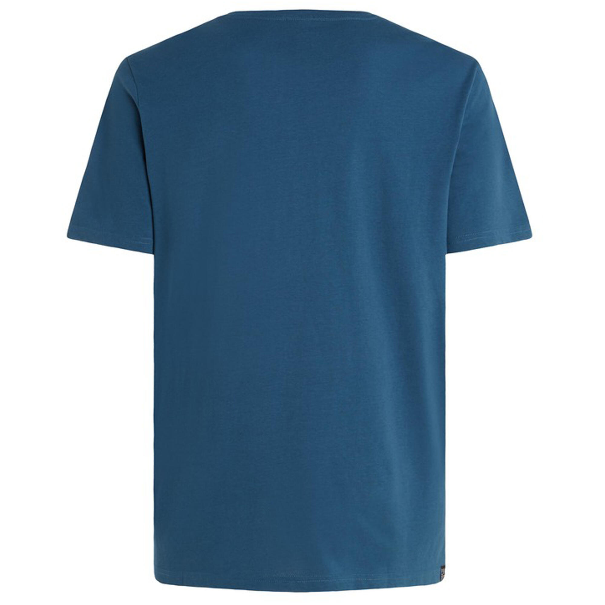 Koszulka męska Protest PRTSHARM t-shirt 6/7