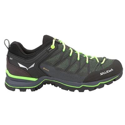 Trekking-Schuhe Mann Salewa Ms Mtn Lite Grün