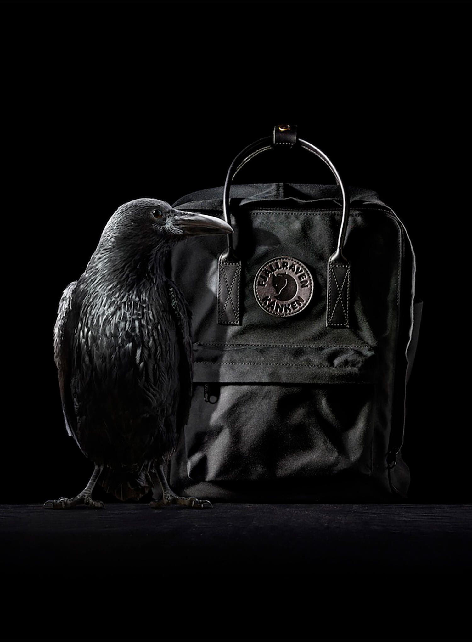Sac à dos Fjällräven Kanken No 2 pour unisexe 3/5