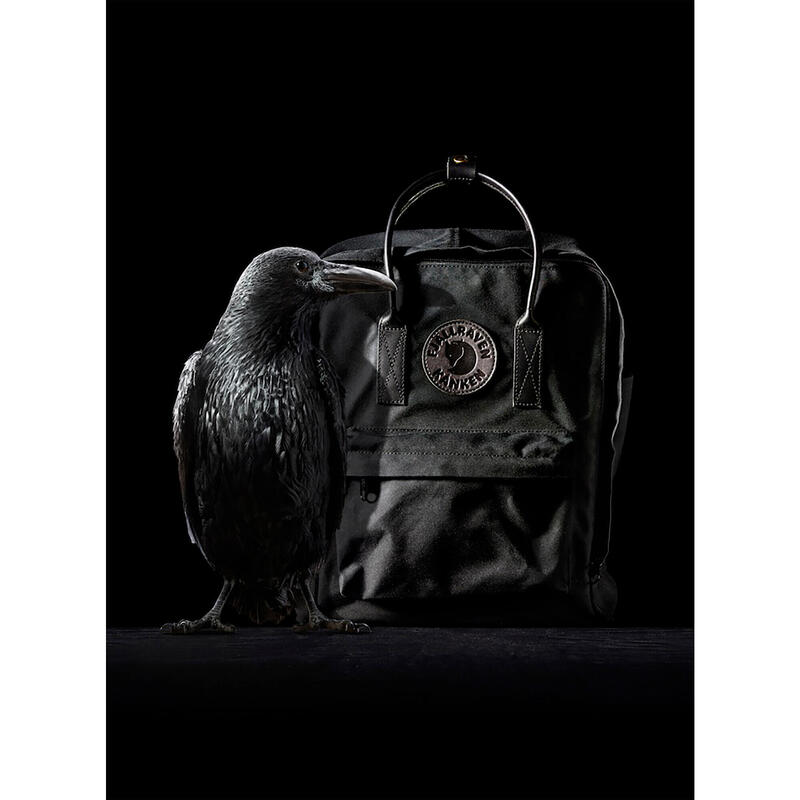 Sac à dos Fjällräven Kanken No 2 pour unisexe