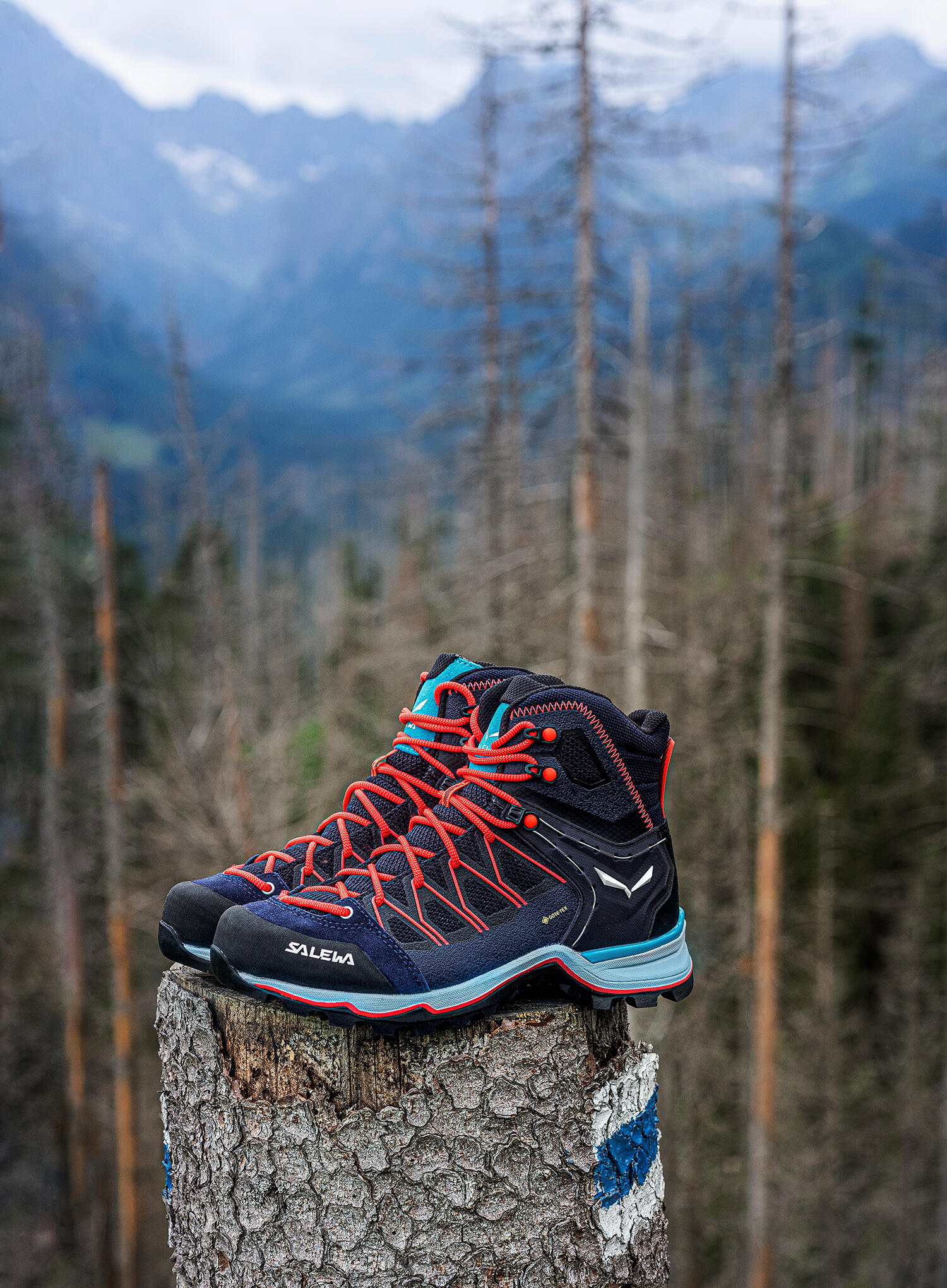 Buty damskie Salewa Mountain Trainer Lite Mid GTX 3/7