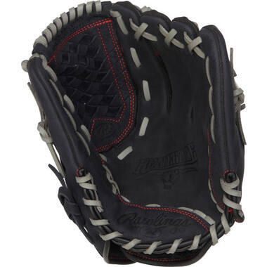 Rawlings R120BGS R120 Serie Fastpitch Softball Glove 12 Inch | Left Hand Catch 3/3