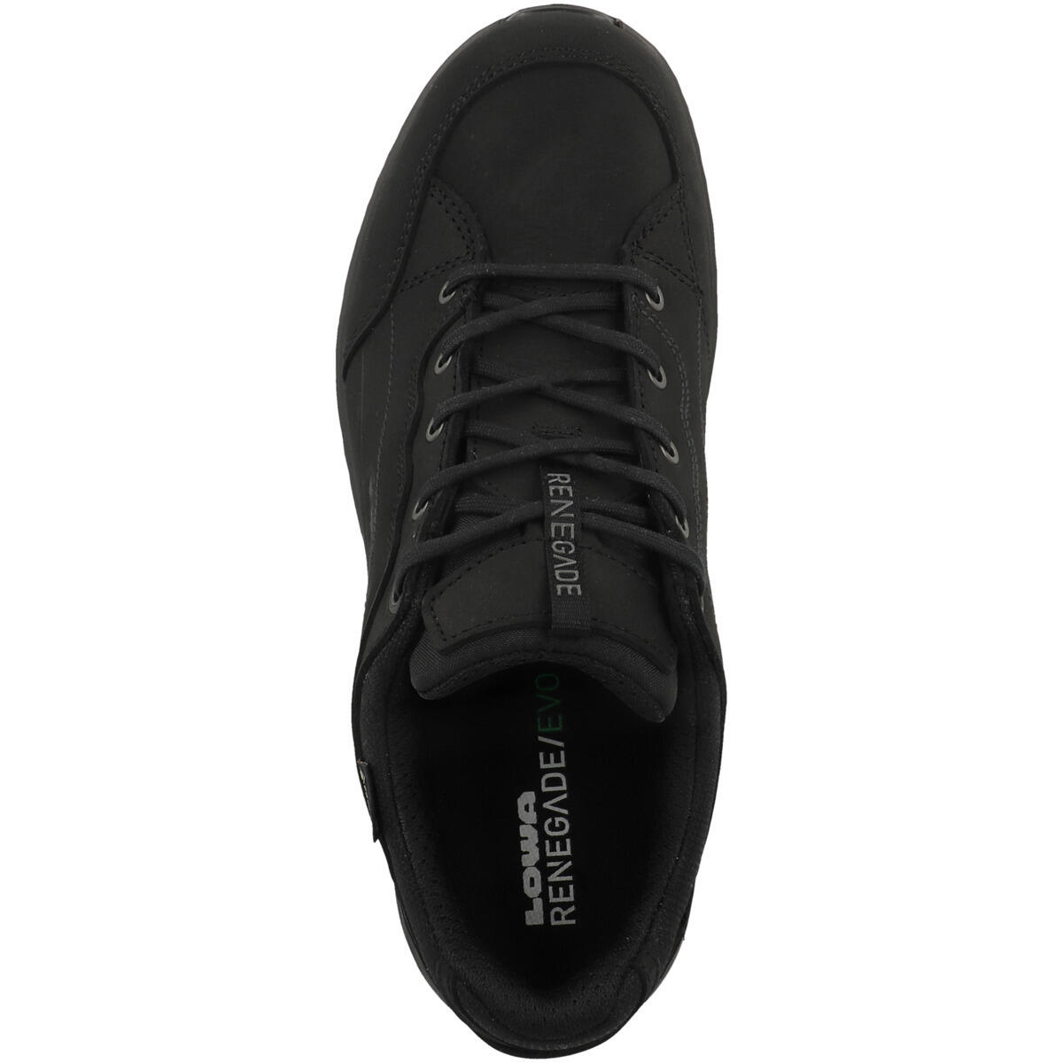 Outdoorschuhe Renegade Evo GTX LO Damen 2/6