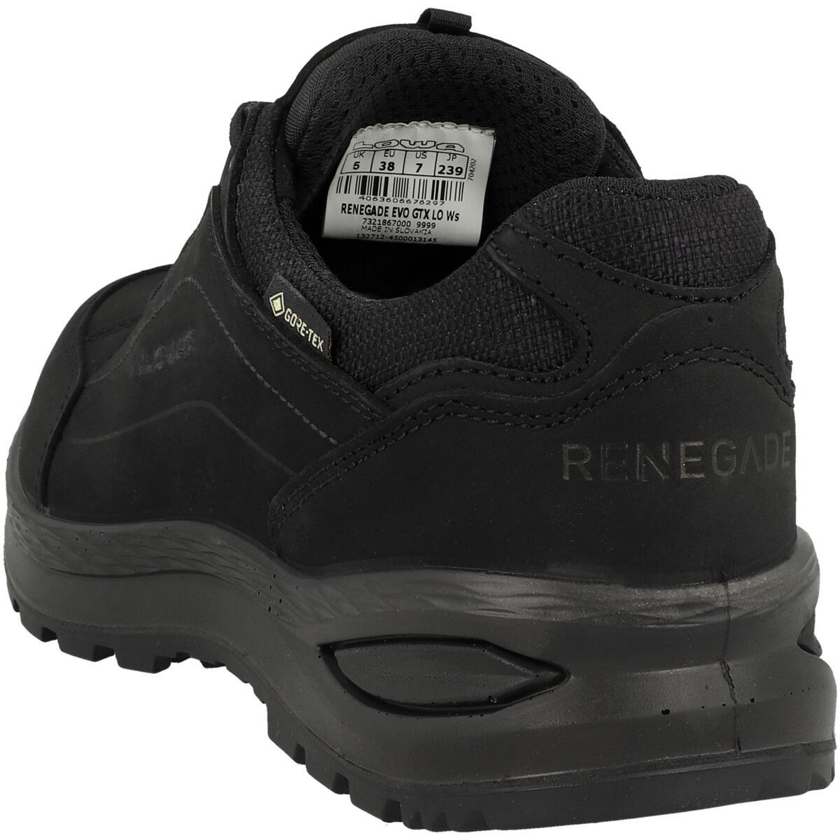 Outdoorschuhe Renegade Evo GTX LO Damen 6/6