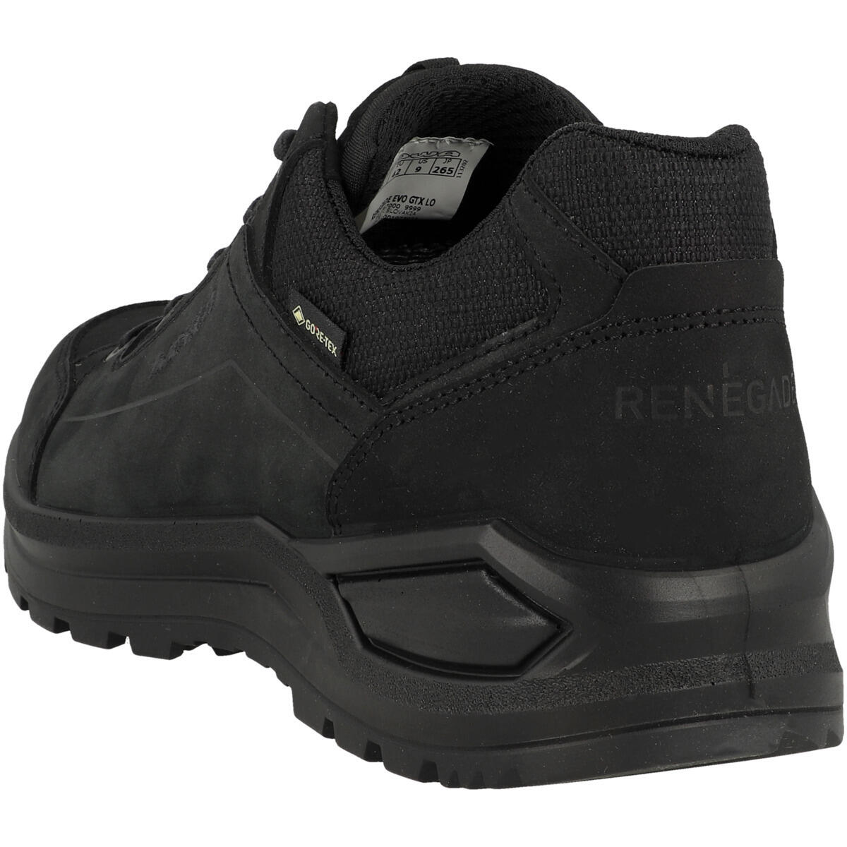 Outdoorschuhe Renegade Evo GTX LO Herren 6/15