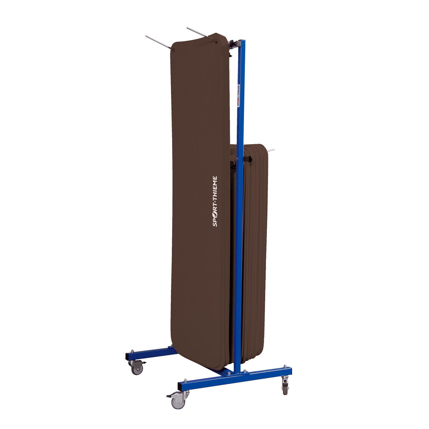 SPORT-THIEME picture