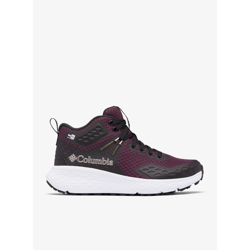 50cf50cc-8451-475e-93fd-09bf05642c41_c1c14c16