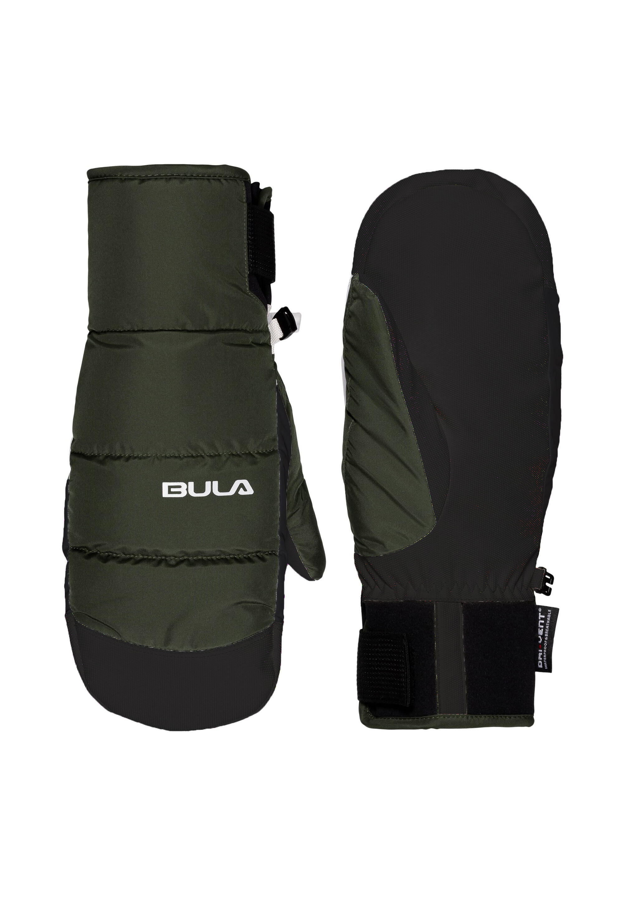 BULA picture
