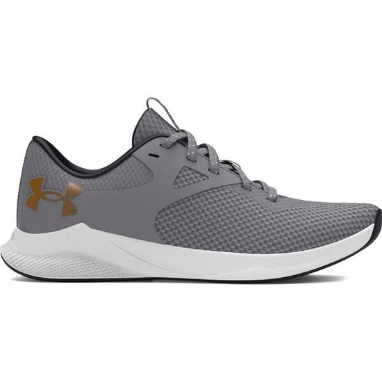 Zapatos de entrenamiento Under Armour Charged Aurora 2 Grise
