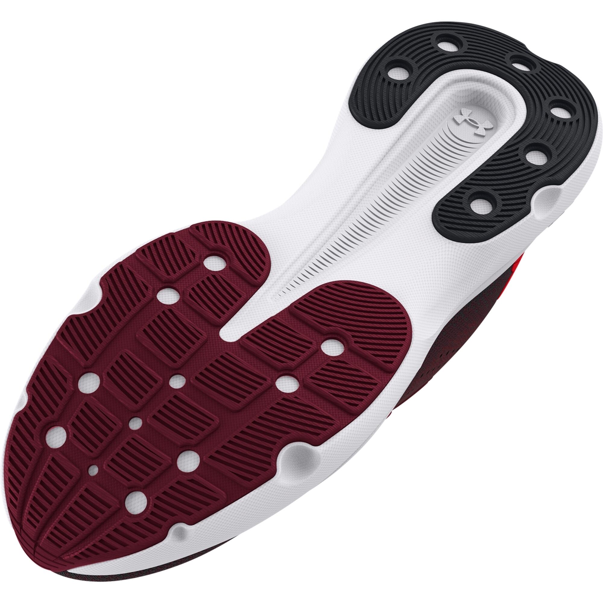 Laufschuhe Under Armour Infinite 5/7