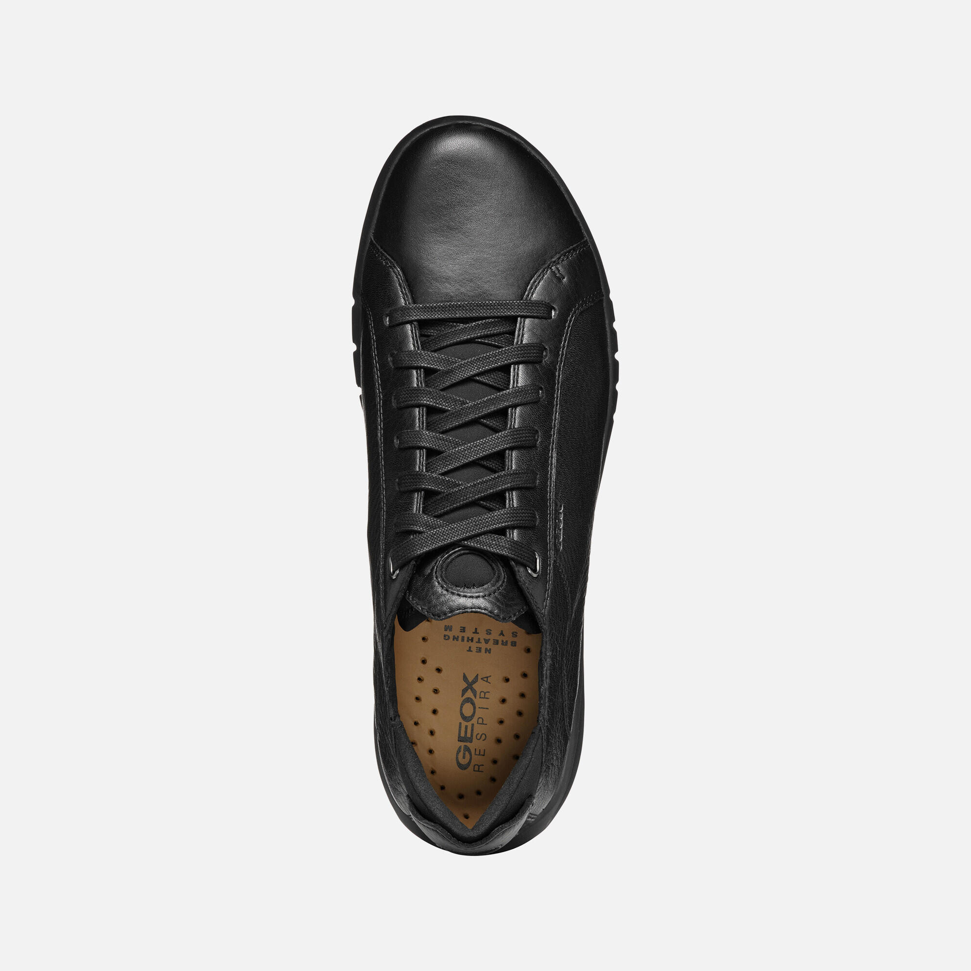 Baskets Geox Aerantis 6/7