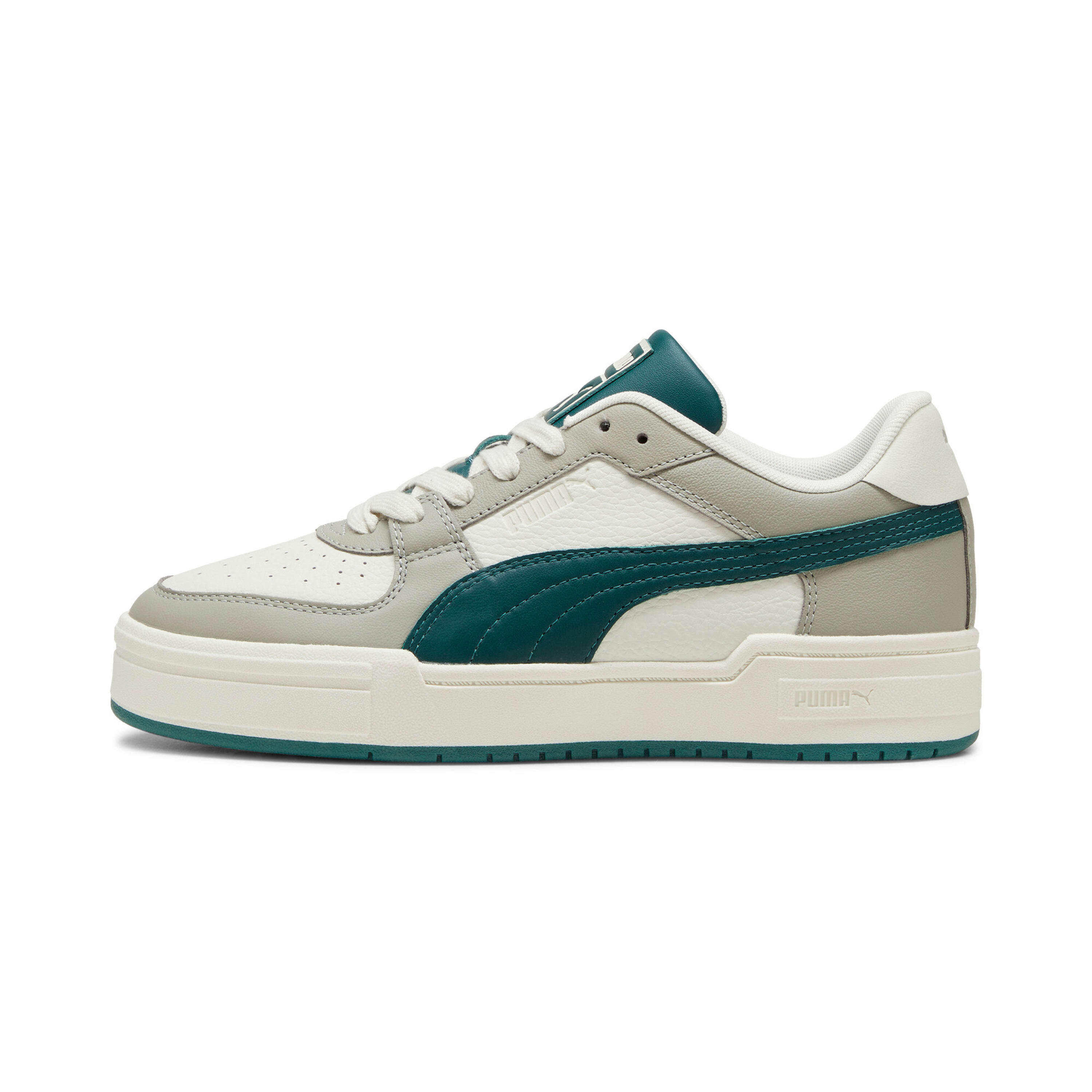 PUMA picture