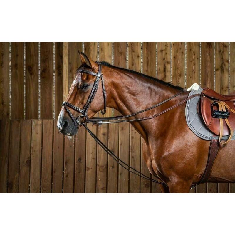 Dy'on Full Leather Draw Reins 1/2 (13mm) Working Coll. Bruin -