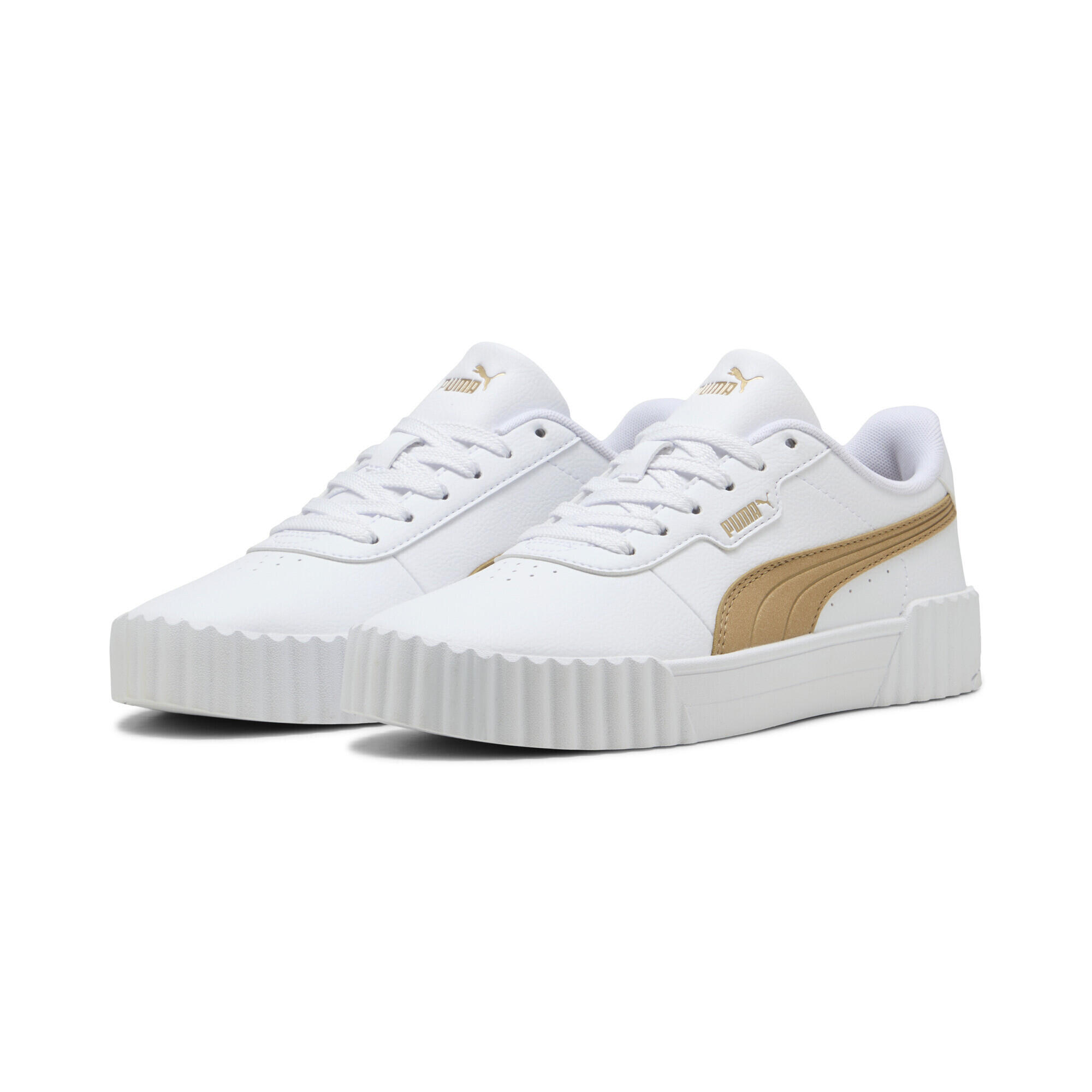 PUMA picture