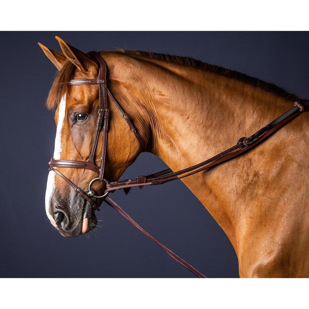 Leather and nylon horse reins Dy'on 5/8