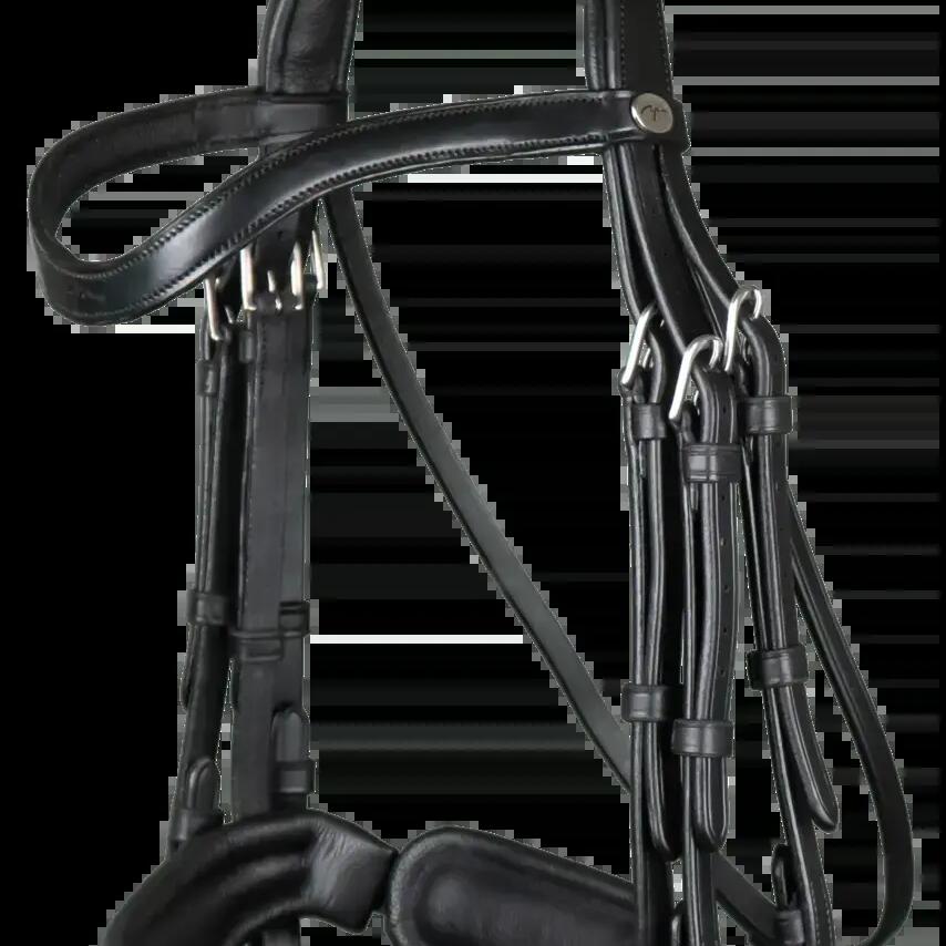 Varnished wide noseband bridle Dy'on