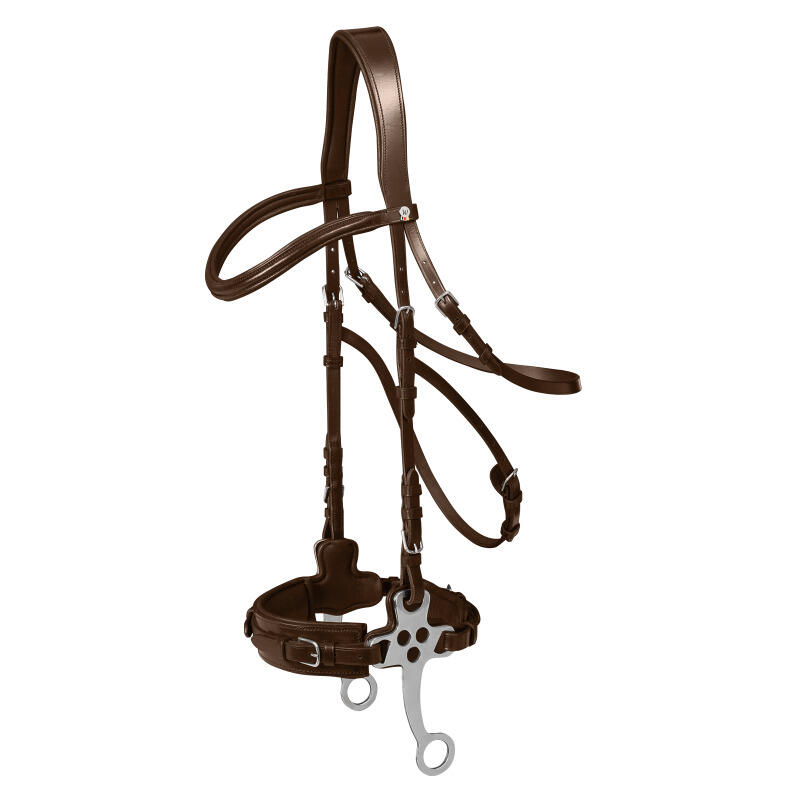 Bridles for horses Waldhausen X-Line Hackamore
