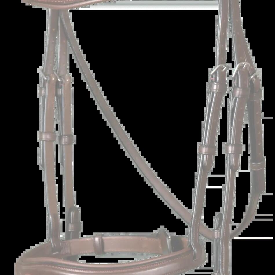 Riding bridle Dy'on Flash New English Collection 1/2"