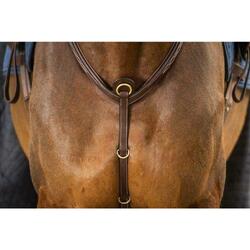 Plastron Dy'on Bridge Collection D