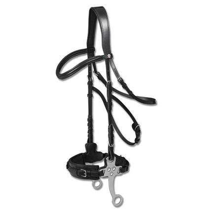 Reittrensen für Pferde Waldhausen X-Line Hackamore