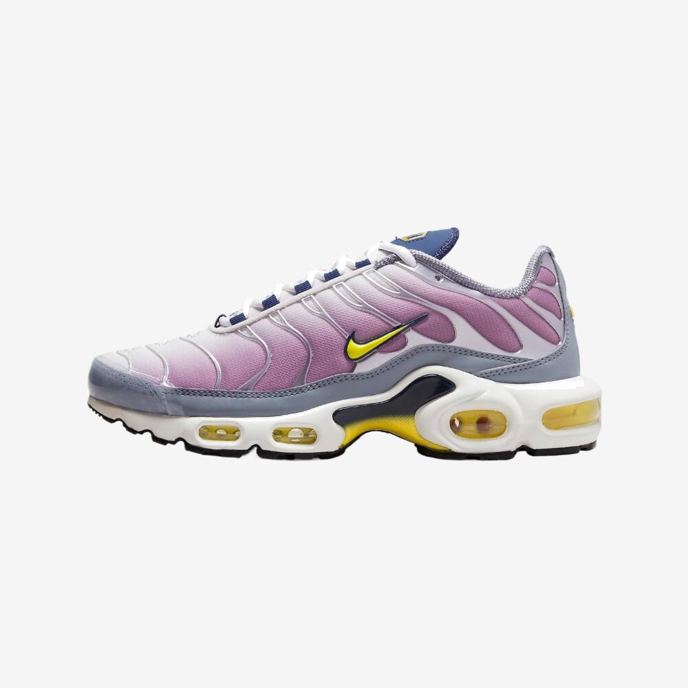 air nike max plus