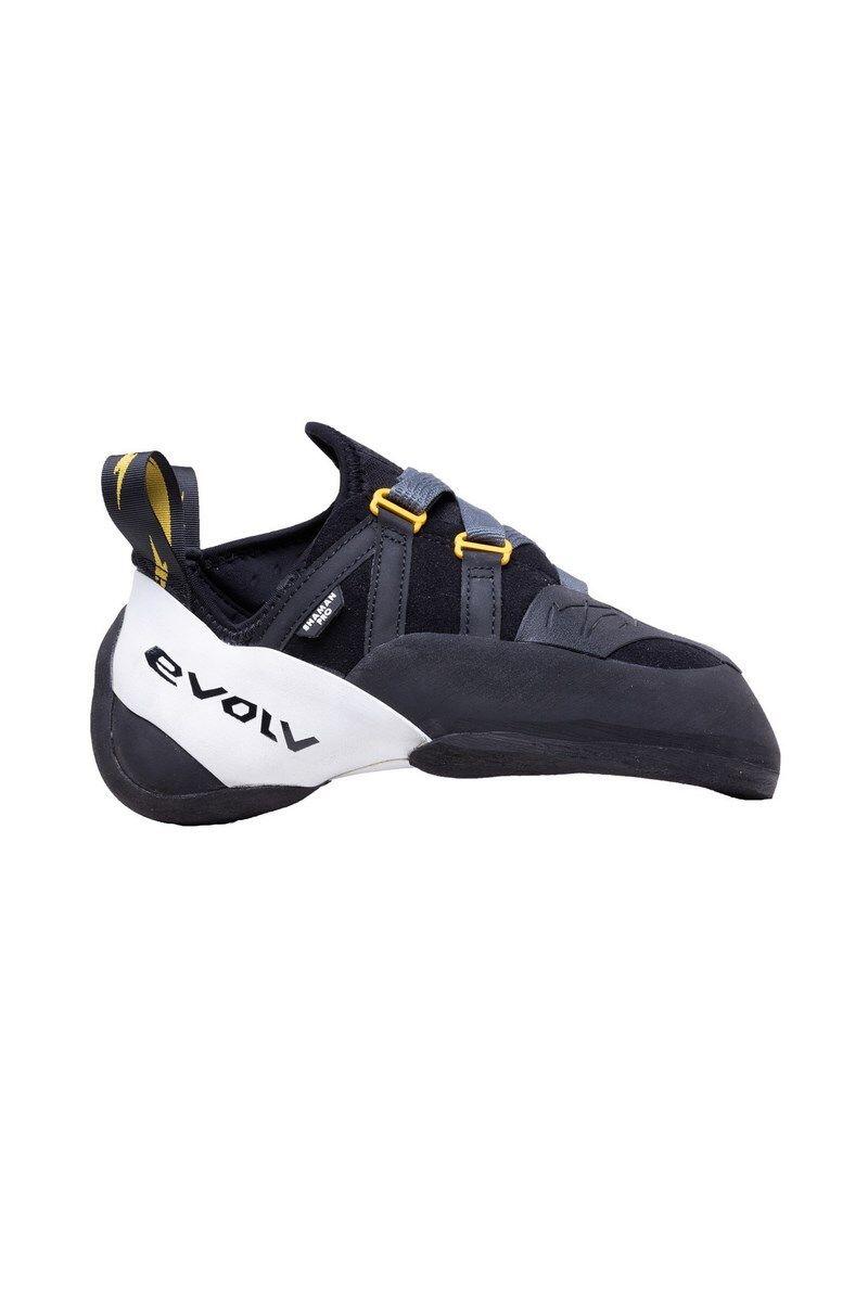 EVOLV picture