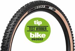 Pneus VTT IBEX pour All-Mountain, Enduro, E-MTB 29x2.40 TRC60