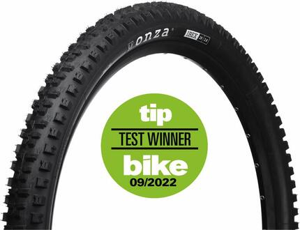 Pneus VTT IBEX pour All-Mountain, Enduro, E-MTB 29x2.60 TRC60