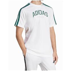 T-shirt Adidas modèle JJ3868 pour homme